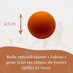 Wildfang - balle rebondissante « fabius » – 100 % caoutchouc naturel