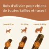 Wildfang® bâton à mâcher en bois d'olivier - taille m - 3 pieces