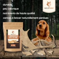 Wildfang - causer le bâton du cerf de jachère - 3 x m