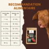 Wildfang croquettes adultes au thon - sans céréales - 2 x 2 kg
