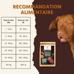 Wildfang croquettes adultes au thon - sans céréales - 2 x 2 kg