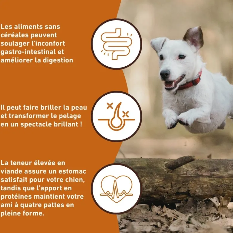 Wildfang croquettes adultes au gibier - sans céréales - 2 x 2 kg