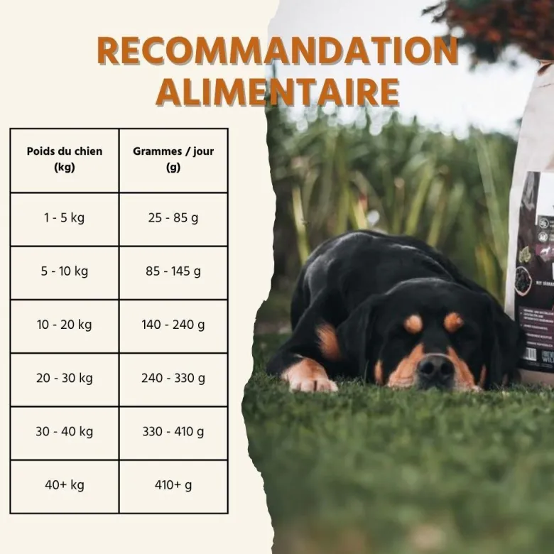 Wildfang croquettes adultes au gibier - sans céréales - 2 x 2 kg