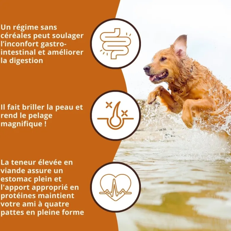 Wildfang croquettes adultes au thon - sans céréales - 2 kg