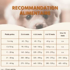 Wildfang® croquettes junior au poulet pour chiots - sans céréales - 2 kg