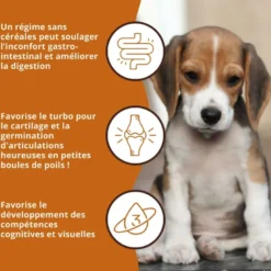Wildfang® croquettes junior au poulet pour chiots - sans céréales - 6 kg