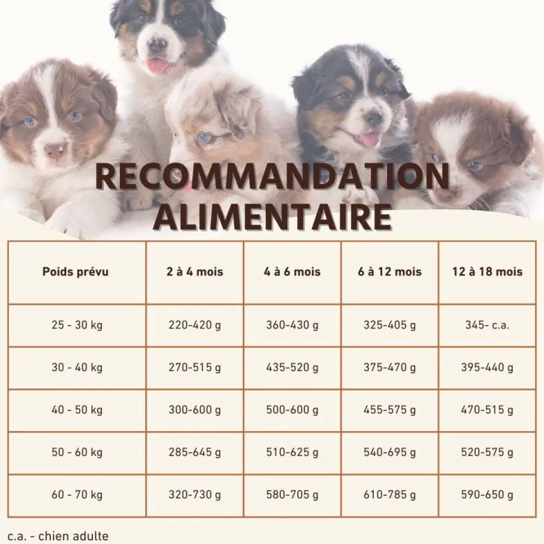 Wildfang® croquettes junior au saumon pour chiots - sans céréales - 6 kg