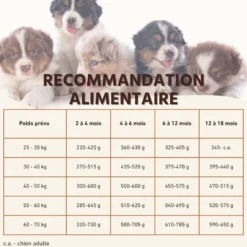 Wildfang® croquettes junior au saumon pour chiots - sans céréales - 2 kg