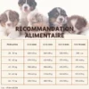Wildfang® croquettes junior au saumon pour chiots - sans céréales - 2 x 2 kg