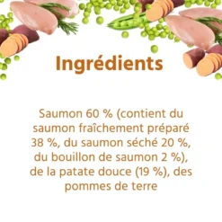 Wildfang® croquettes junior au saumon pour chiots - sans céréales - 2 x 2 kg