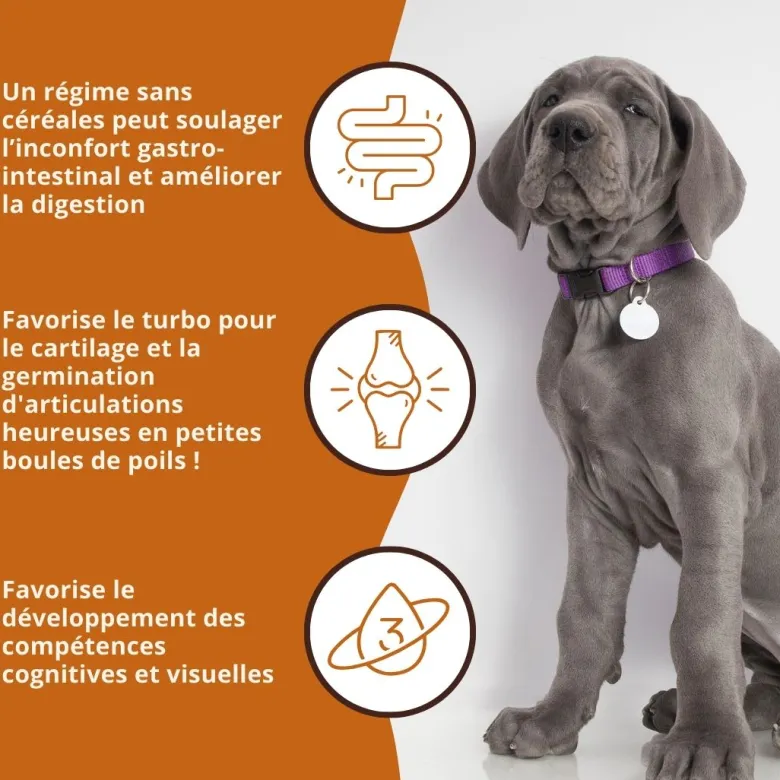 Wildfang® croquettes junior au saumon pour chiots - sans céréales - 2 x 2 kg