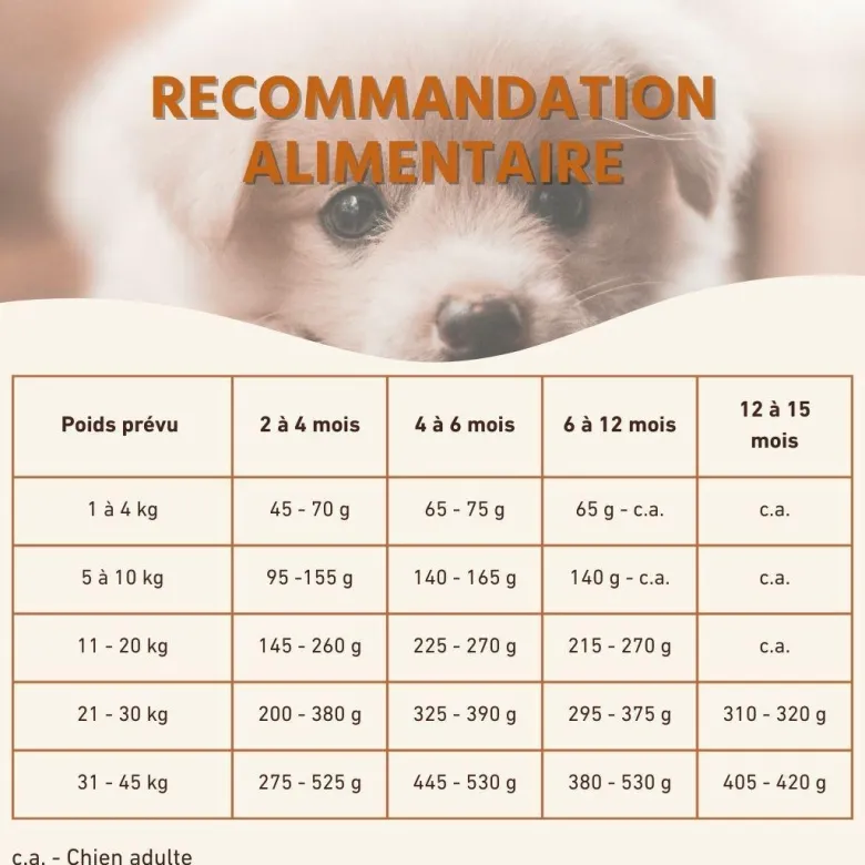 Wildfang® croquettes junior au poulet pour chiots - sans céréales - 2 x 6 kg