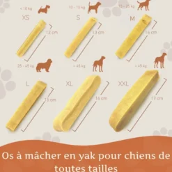 Wildfang® fromage à mâcher - bâton à mâcher au fromage à pâte dure - 3 x s