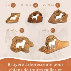 Wildfang - mâcher des racines de bruyère arborescente - 1 x xl
