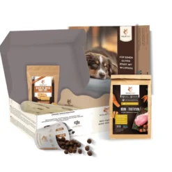 Wildfang – pack chiot « bienvenue compagnon » – pour chiens jusqu’à 25 kg