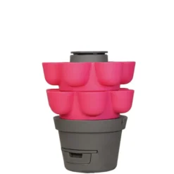 Wormgarden fuchsia 2 jardinières